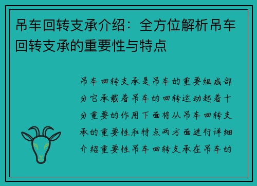 吊车回转支承介绍：全方位解析吊车回转支承的重要性与特点