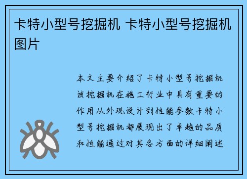 卡特小型号挖掘机 卡特小型号挖掘机图片