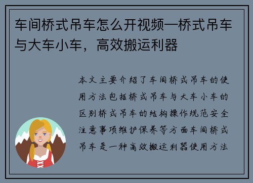 车间桥式吊车怎么开视频—桥式吊车与大车小车，高效搬运利器